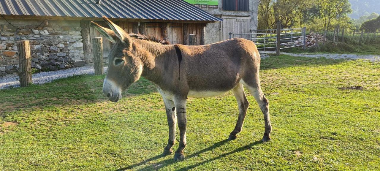Chalet De Moulaprat Aste-Beon Pres De Laruns Et Gourette Dış mekan fotoğraf